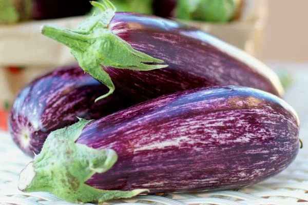 Spain Remains the Global Leader in Eggplant Exports despite 16% Drop